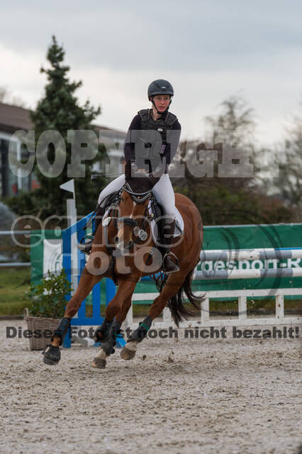 Eventing im Pferdesportzentrum Rheinland (Late Entry 14.03.2022)