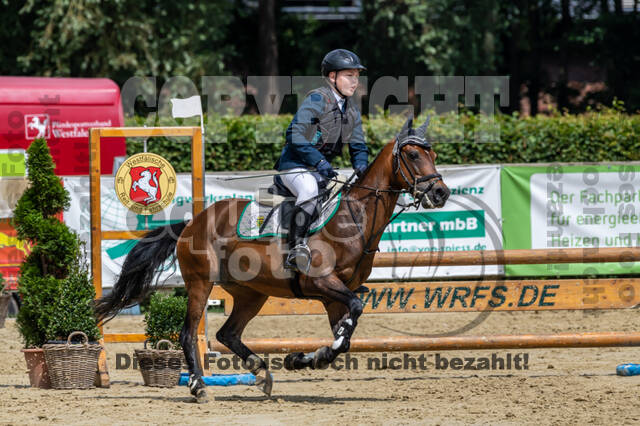 Goldene Schärpe 2021 - Ponys