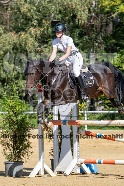 RFV Dinslaken-Hiesfeld (Herbstturnier)