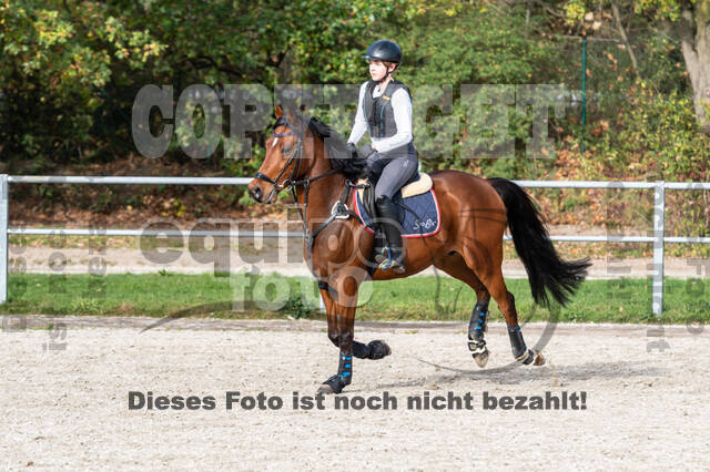 IGV Lehrgang der Sieger der Cups mit Frank Ostholt