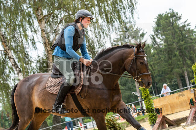Hunter Geländetraining 10.07.2021 (Sonsbeck)