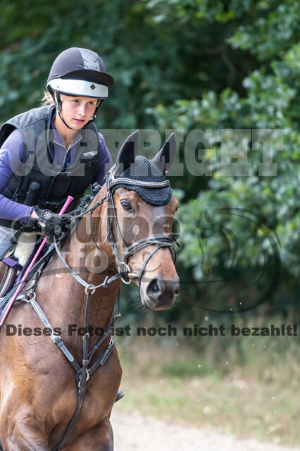 Late-Entry-Vielseitigkeit Langenfeld (11.+13./14.06.2020)