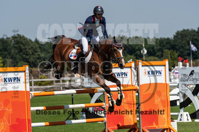 Kronenberg - De Peelbergen (August 2020)