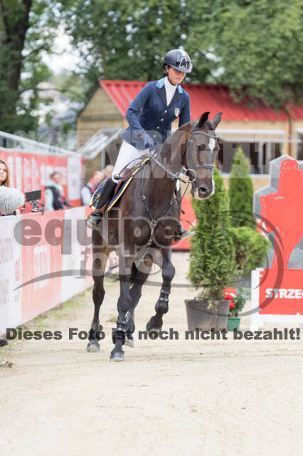 FEI European Championship