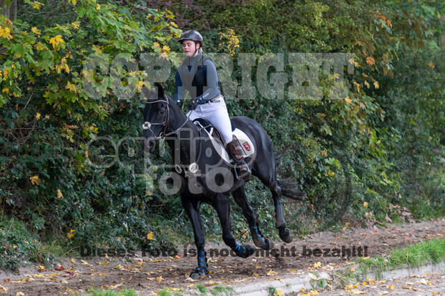 Goldene Schärpe 2020 - Pferde