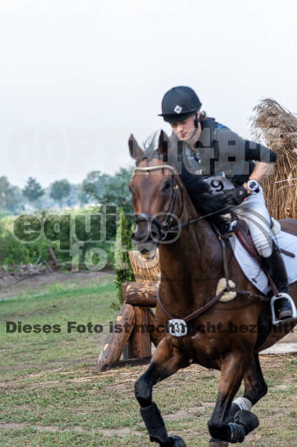 De Peelbergen (August 2020)