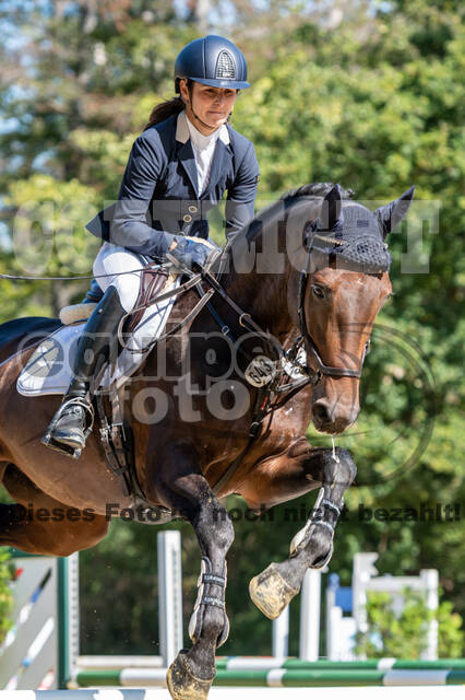 RFV Dinslaken-Hiesfeld (Herbstturnier)
