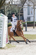 Eventing Langenfeld 2018