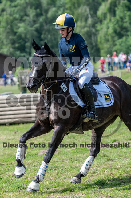 Goldene Schärpe 2021 - Ponys