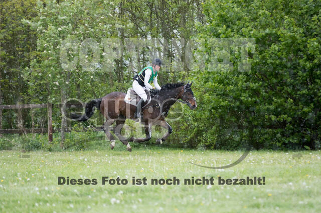 Sterne über Münster 2019 - CCI***S