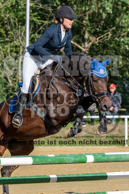 RFV Dinslaken-Hiesfeld (Herbstturnier)