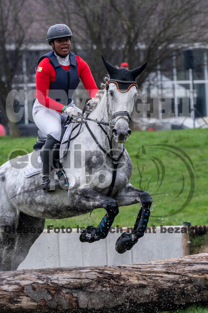 Goldene Schärpe 2020 - Pferde