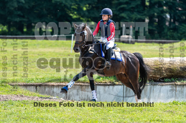 Goldene Schärpe 2021 - Ponys