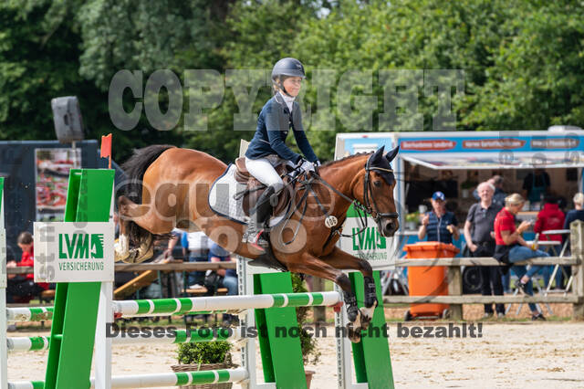 Goldene Schärpe 2021 - Ponys