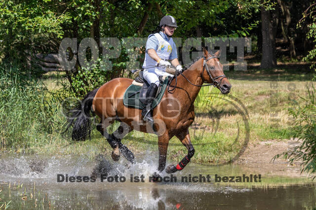Late-Entry Vielseitigkeit Hamminkeln/Wesel (01.+02.08.2020)