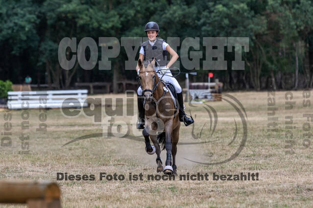 Late-Entry Vielseitigkeit Hamminkeln/Wesel (01.+02.08.2020)