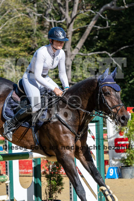 RFV Dinslaken-Hiesfeld (Herbstturnier)