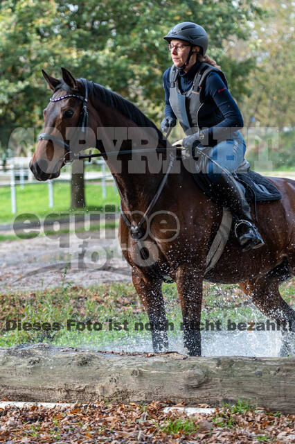 IGV Lehrgang der Sieger der Cups mit Frank Ostholt