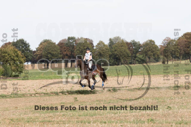 IGV Kleve
