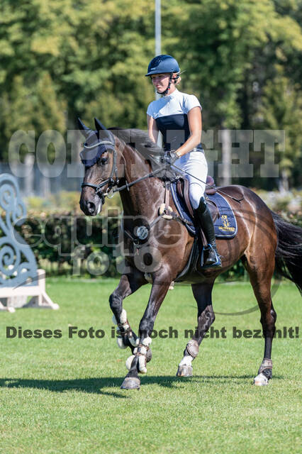 Kronenberg - De Peelbergen (August 2020)