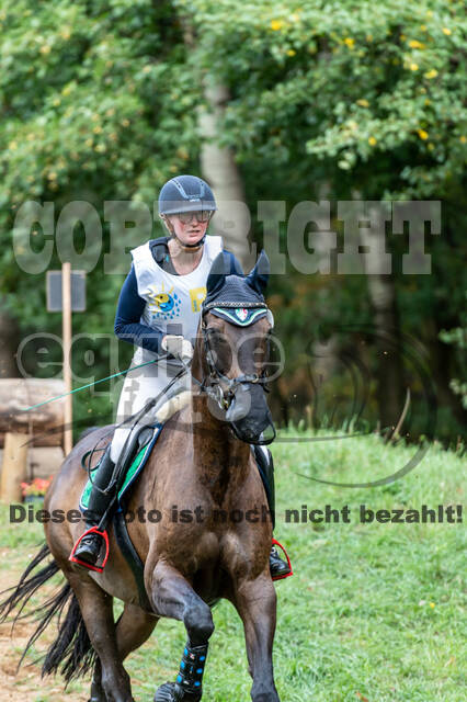 Vielseitigkeit RSV Wesel Obrighoven (26.+27.09.2020)