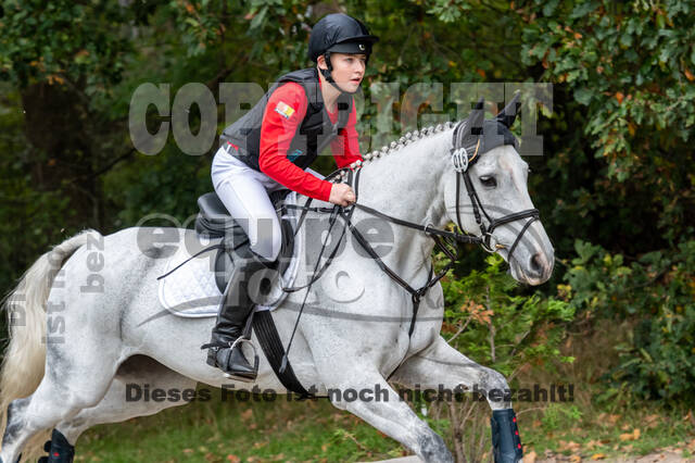 Goldene Schärpe 2020 - Pferde