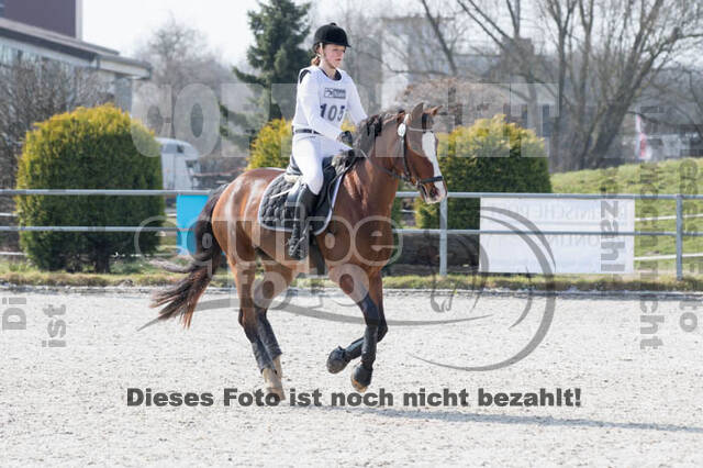 Eventing Langenfeld 2018