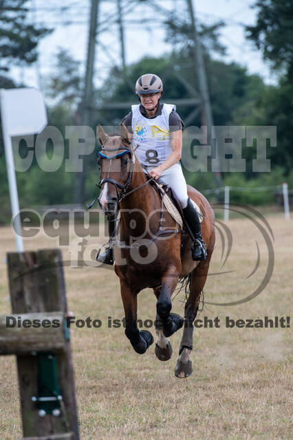 Late-Entry Vielseitigkeit Hamminkeln/Wesel (01.+02.08.2020)