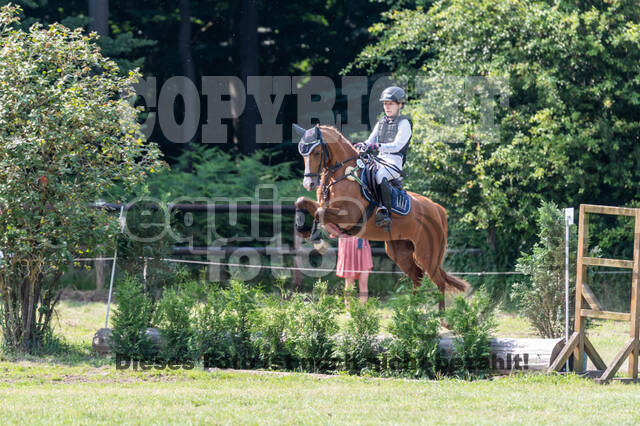 Goldene Schärpe 2021 - Ponys
