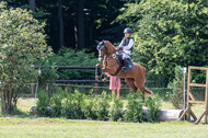Goldene Schärpe 2021 - Ponys