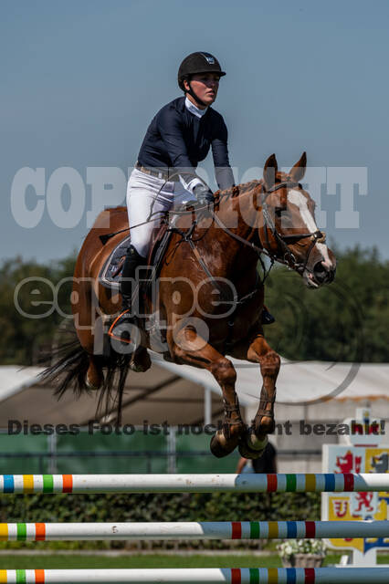 Kronenberg - De Peelbergen (August 2020)