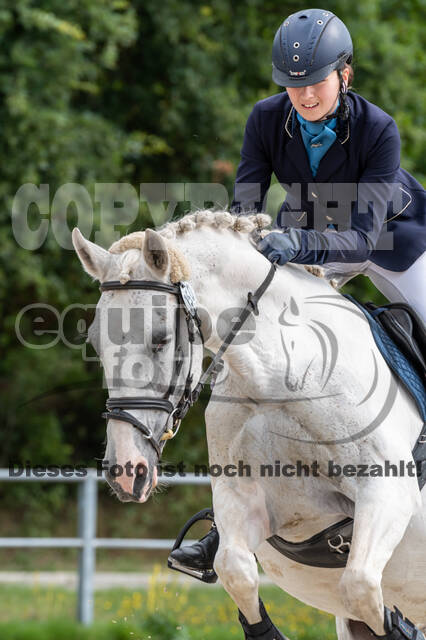 Late-Entry-Vielseitigkeit Langenfeld (06.+07.07.2020)