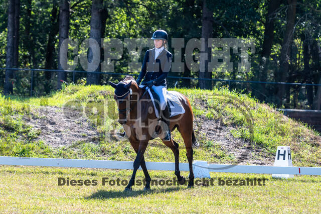 Kronenberg - De Peelbergen (August 2020)