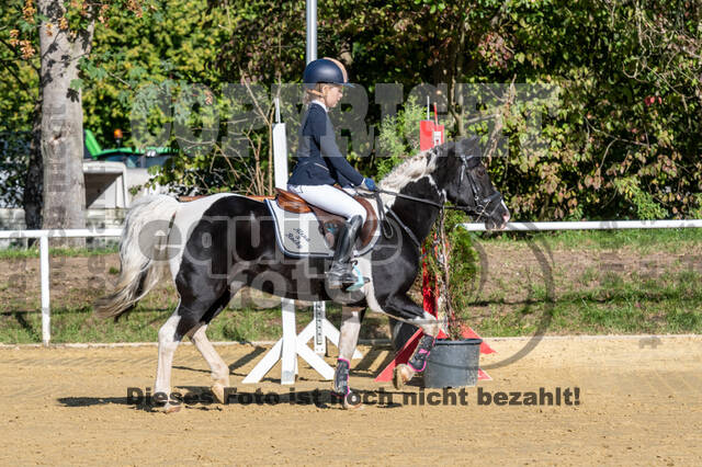 RFV Dinslaken-Hiesfeld (Herbstturnier)