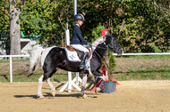 RFV Dinslaken-Hiesfeld (Herbstturnier)