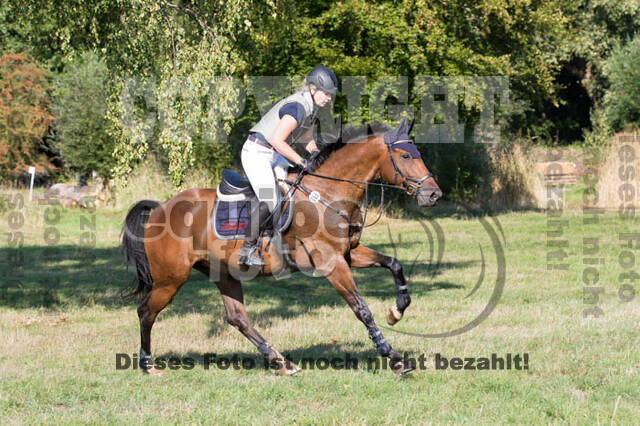 Vielseitigkeitsturnier RSV St. Hubertus Wesel Obrighoven