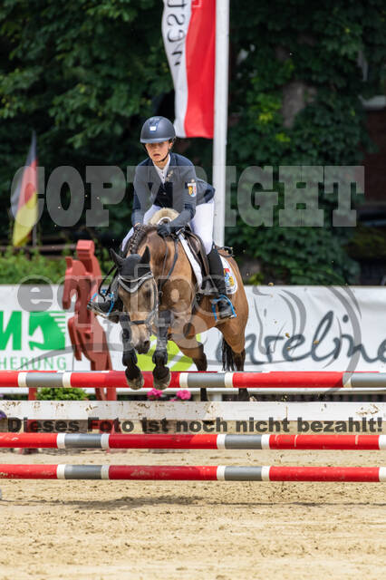 Goldene Schärpe 2021 - Ponys
