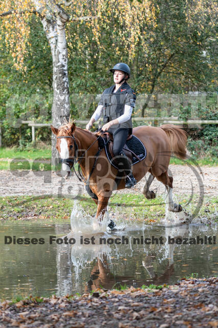 IGV Lehrgang der Sieger der Cups mit Frank Ostholt