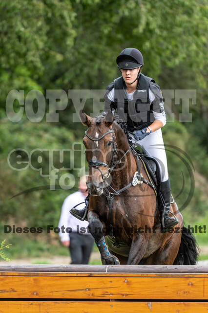 Late-Entry-Vielseitigkeit Langenfeld (06.+07.07.2020)