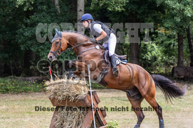 Late-Entry Vielseitigkeit Hamminkeln/Wesel (01.+02.08.2020)