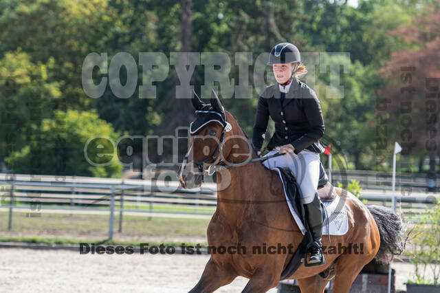 Landesturnier Rheinland, Vielseitigkeit, 22.+23.08.2020