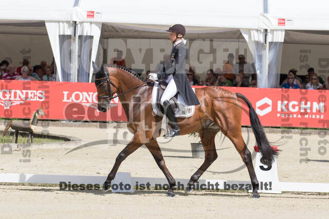 FEI European Championship Eventing 2017