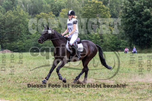 Late-Entry-Vielseitigkeit Gahlen (18.07.2020)