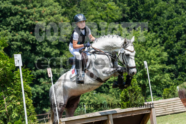 Goldene Schärpe 2021 - Ponys