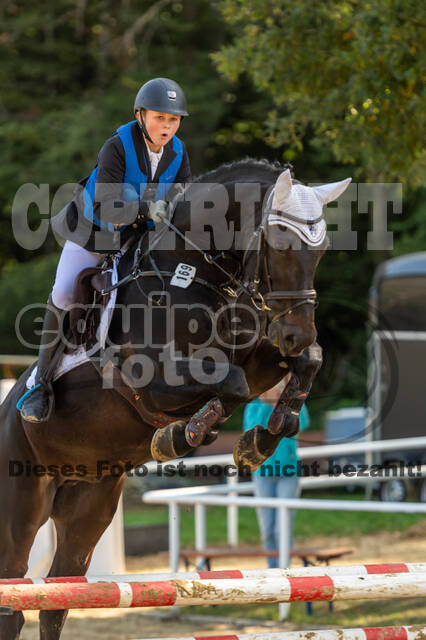 RFV Dinslaken-Hiesfeld (Herbstturnier)