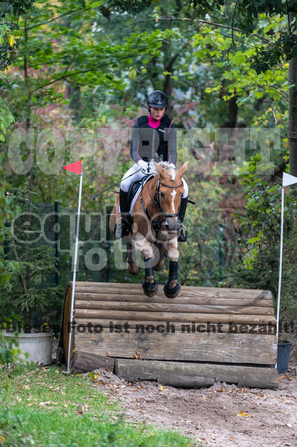 Goldene Schärpe 2020 - Pferde