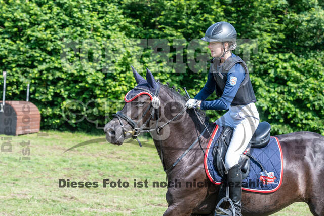 Goldene Schärpe 2021 - Ponys