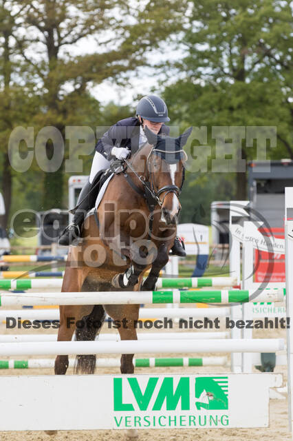 Sterne über Münster 2019 - CCI***S