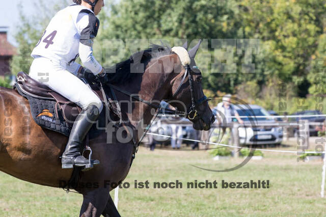Vielseitigkeitsturnier RSV St. Hubertus Wesel Obrighoven