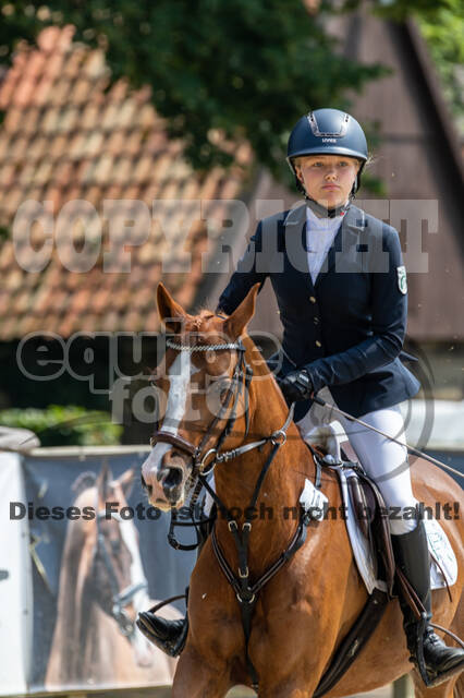 Goldene Schärpe 2021 - Ponys